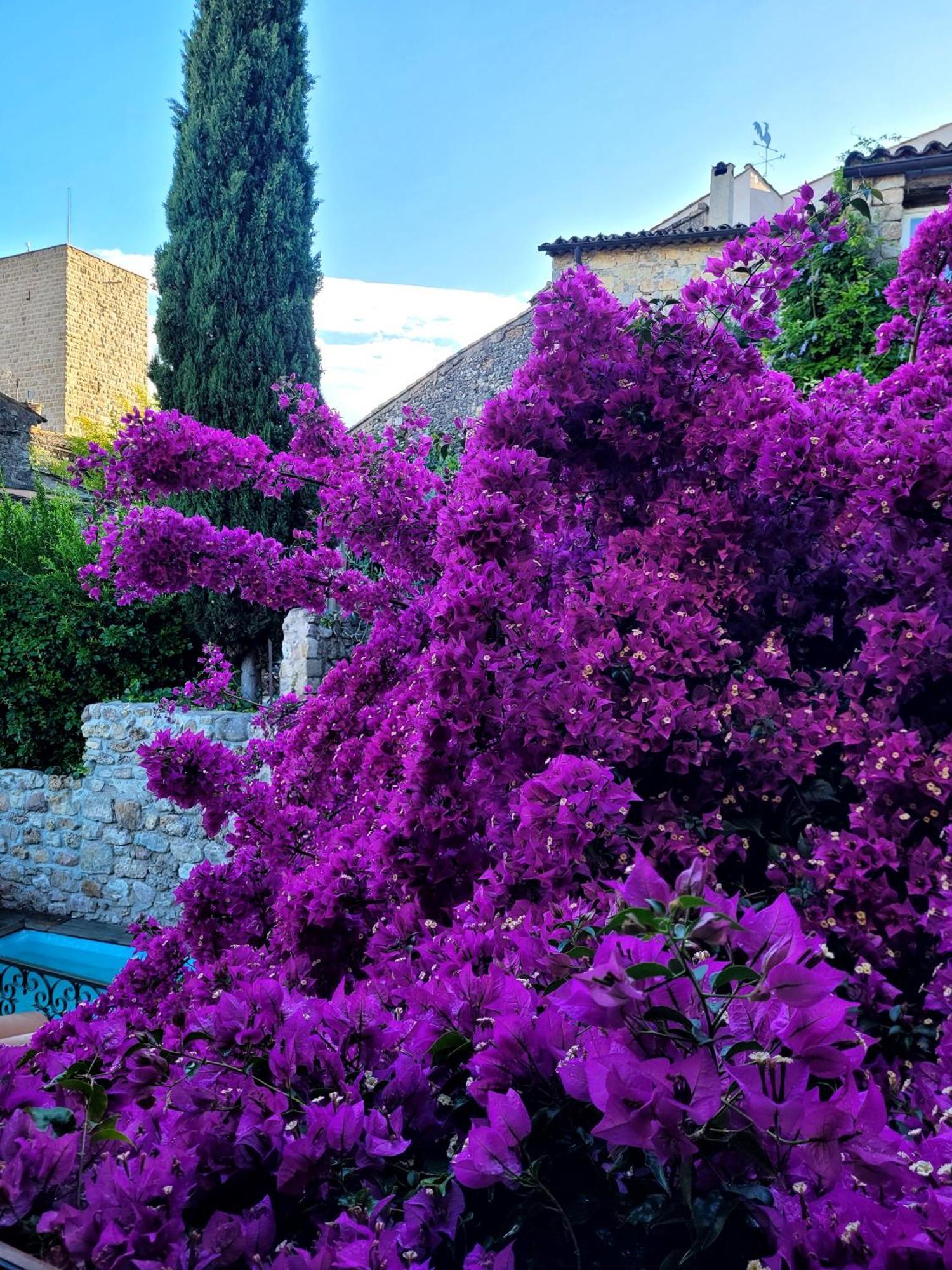 Villa Arca Les Arcs-sur-Argens エクステリア 写真