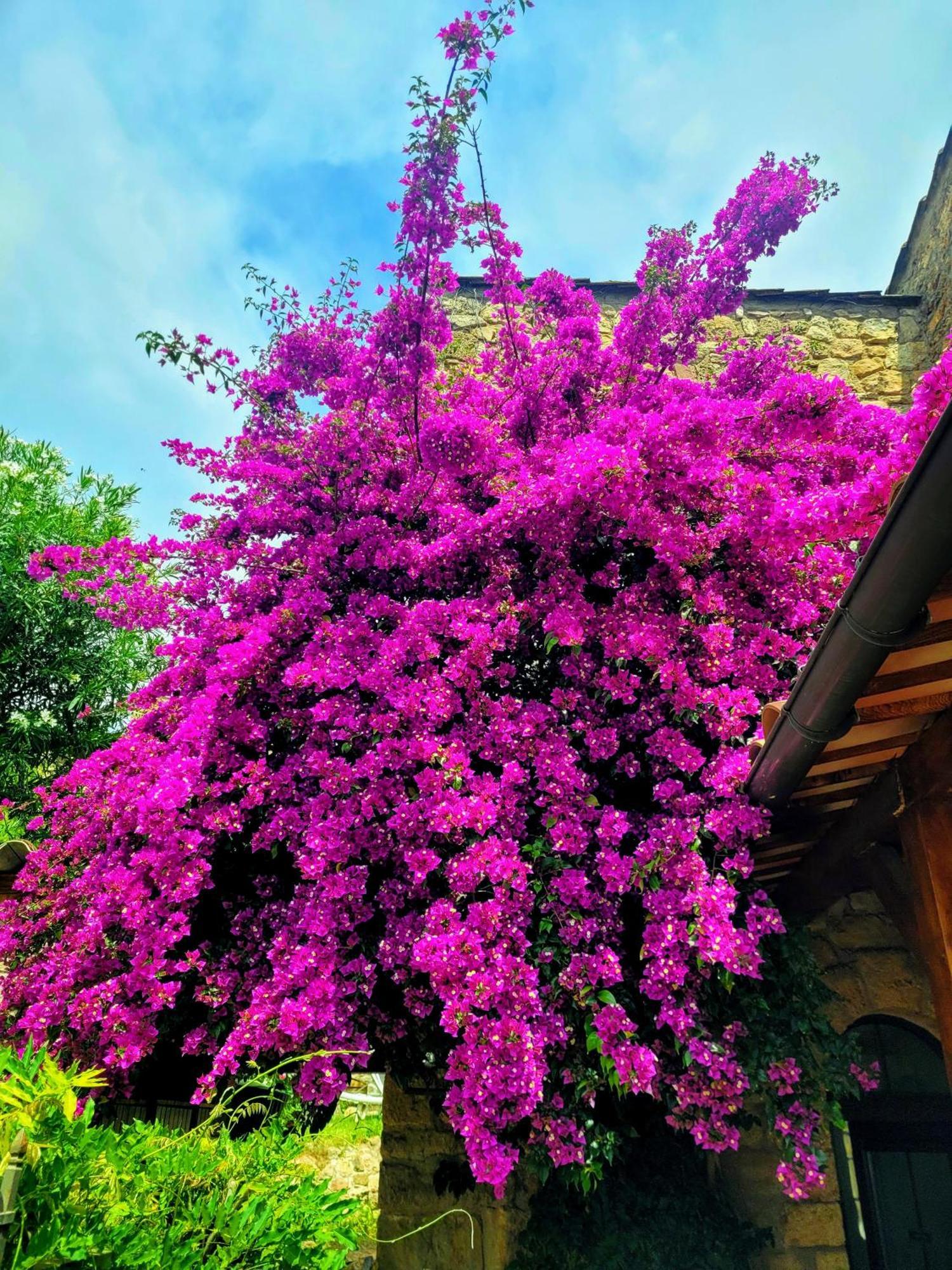 Villa Arca Les Arcs-sur-Argens エクステリア 写真